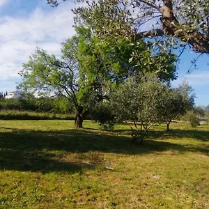 Kamp S&m, Sveti Filip i Jakov